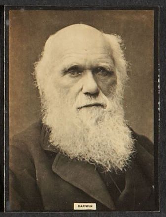 Darwin